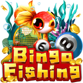 Câu Cá Bingo rs8
